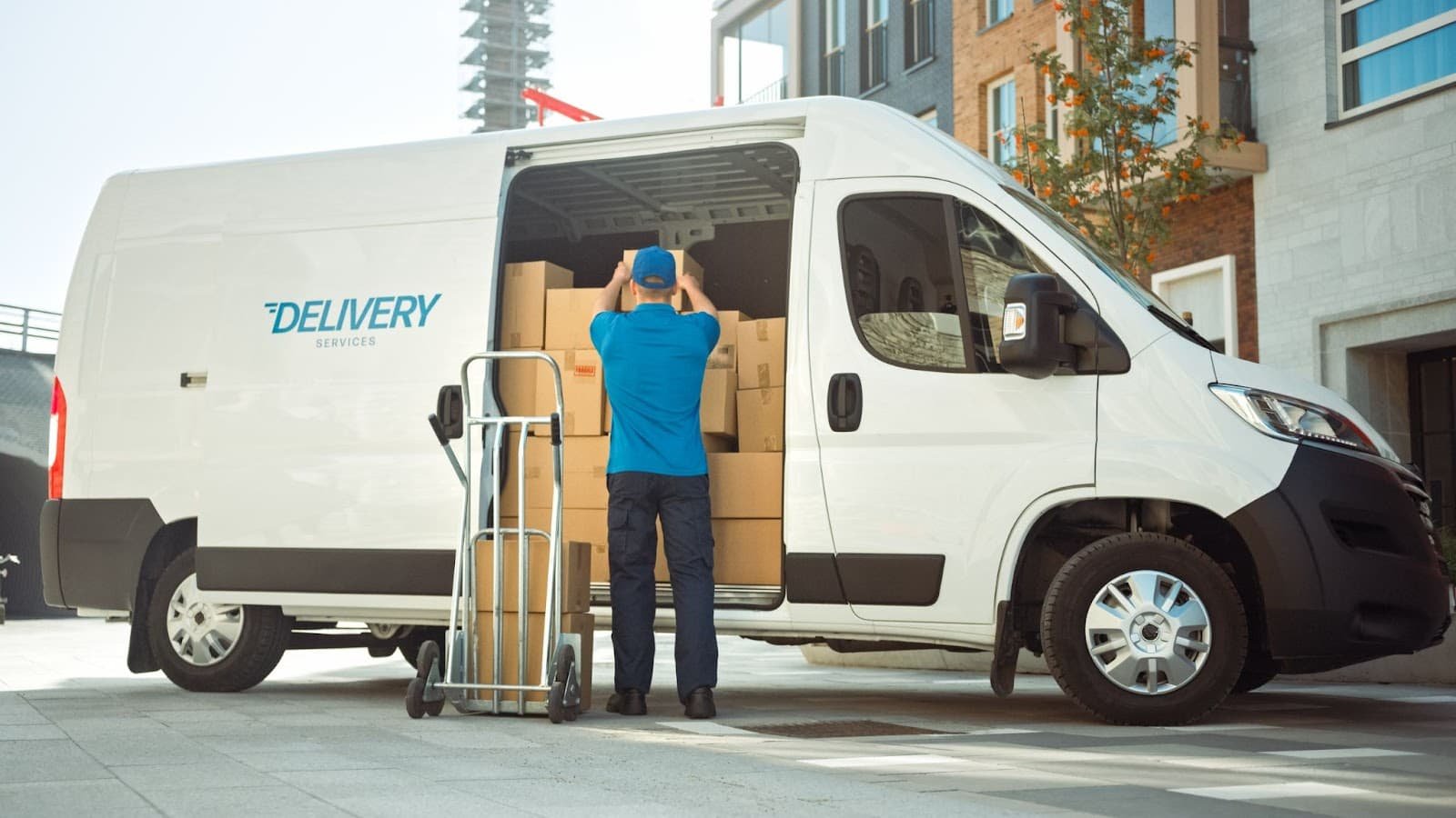 Express Courier service by TransAtlantic Express